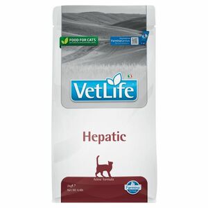 VET LIFE Natural Hepatic granule pre mačky, Hmotnosť balenia (g): 10 kg vyobraziť