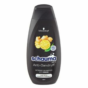 SCHAUMA Men Anti-Dandruff Intense šampón 400 ml vyobraziť