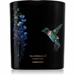 Vila Hermanos Jungletopia Hummingbird vonná sviečka 200 g vyobraziť