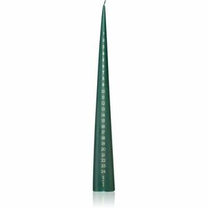 ester & erik advent noble pine dekoratívna sviečka I. 37 cm vyobraziť
