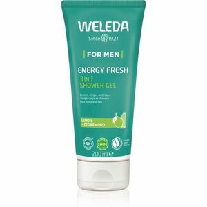 Weleda Energy Fresh 3in1 čistiaci gél 3 v 1 na vlasy a telo pre mužov 200 ml vyobraziť