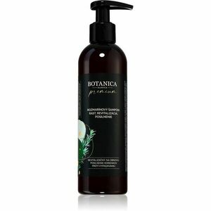 Soaphoria Botanica Slavica Rosemary intenzívny šampón pre rast vlasov a posilnenie od korienkov 250 ml vyobraziť