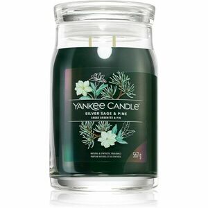 Yankee Candle Silver Sage & Pine vonná sviečka Signature 567 g vyobraziť