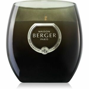 Maison Berger Paris Holly Amber Powder vonná sviečka 200 g vyobraziť