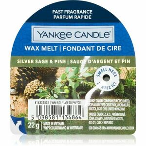 Yankee Candle Silver Sage & Pine vosk do aromalampy 22 g vyobraziť
