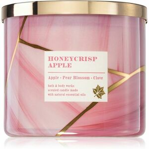 Bath & Body Works Honeycrisp Apple vonná sviečka 411 g vyobraziť
