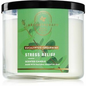 Bath & Body Works Eucalyptus Spearmint vonná sviečka Stress Relief 411 g vyobraziť