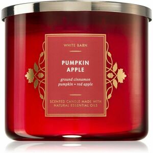 Bath & Body Works Pumpkin Apple vonná sviečka VI. 411 g vyobraziť