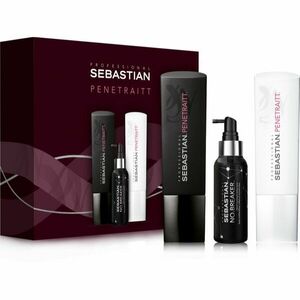 Sebastian Professional Penetraitt darčeková sada (pre poškodené, chemicky ošetrené vlasy) vyobraziť