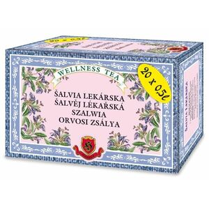 Herbex Šalvia lekárska bylinný čaj 20 x 3 g vyobraziť