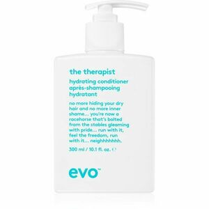 EVO Hydrate The Therapist hydratačný kondicionér pre suché a farbené vlasy 300 ml vyobraziť