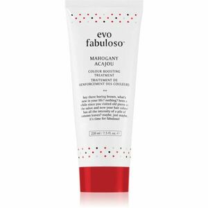 EVO Fabuloso Colour Boosting Treatment maska na vlasy pre zvýraznenie farby vlasov odtieň Mahogany 220 ml vyobraziť