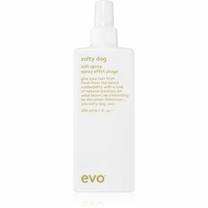 EVO Style Salty Dog slaný sprej na vlasy 200 ml vyobraziť