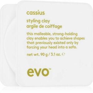 EVO Style Cassius stylingový íl na vlasy pre fixáciu a tvar 90 g vyobraziť