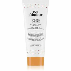EVO Fabuloso Colour Boosting Treatment maska na vlasy pre zvýraznenie farby vlasov odtieň Caramel 220 ml vyobraziť