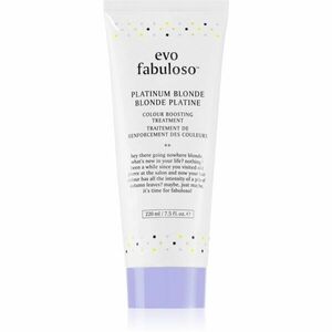 EVO Fabuloso Colour Boosting Treatment maska na vlasy pre zvýraznenie farby vlasov odtieň Platinum Blonde 220 ml vyobraziť