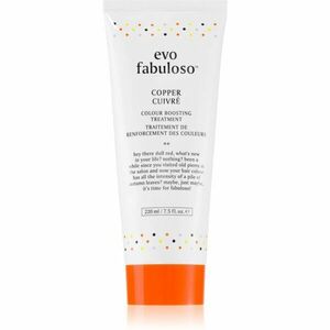 EVO Fabuloso Colour Boosting Treatment maska na vlasy pre zvýraznenie farby vlasov odtieň Copper 220 ml vyobraziť