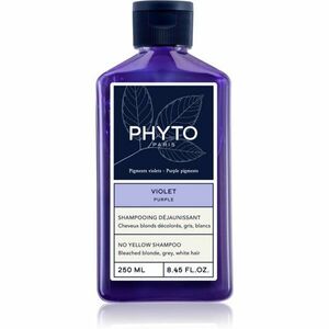 Phyto Purple No Yellow Shampoo tónovací šampón pre blond a melírované vlasy 250 ml vyobraziť