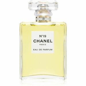 Chanel N°19 parfumovaná voda s rozprašovačom pre ženy 100 ml vyobraziť