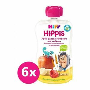 6x HIPP BIO HiPPiS Jablko-Banán-Maliny-Celozrnné obilniny od uk. 1. roka, 100 g vyobraziť