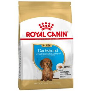 Royal Canin BHN DACHSHUND PUPPY granule pre šteňatá jazvečíka 1, 5kg vyobraziť
