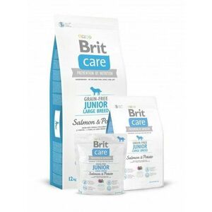 BRIT Care Brit Care GF Junior Large Salm/Potat 12 (bledomodrá)DOPREDAJ vyobraziť