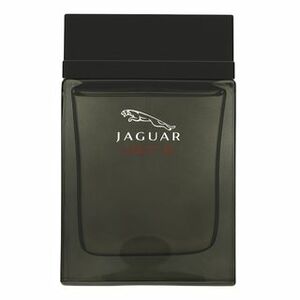 Jaguar Vision III toaletná voda pre mužov 100 ml vyobraziť