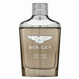 Bentley Infinite Intense parfémovaná voda pre mužov 100 ml vyobraziť