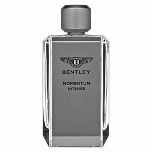 Bentley Momentum Intense parfémovaná voda pre mužov 100 ml vyobraziť