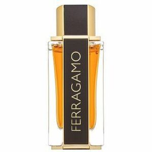 Salvatore Ferragamo Spicy Leather Special Edition parfémovaná voda pre mužov 100 ml vyobraziť