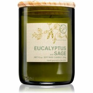 Paddywax Eco Green Eucalyptus & Sage vonná sviečka 226 g vyobraziť