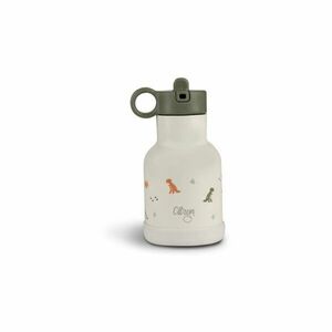 Citron Water Bottle 250 ml (Stainless Steel) fľaša na vodu z nehrdzavejúcej ocele Dino 250 ml vyobraziť