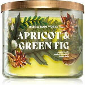 Bath & Body Works Apricot & Green Fig vonná sviečka 411 g vyobraziť