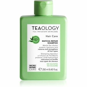 Teaology Hair Matcha Repair Shampoo šampón na posilnenie vlasov 250 ml vyobraziť
