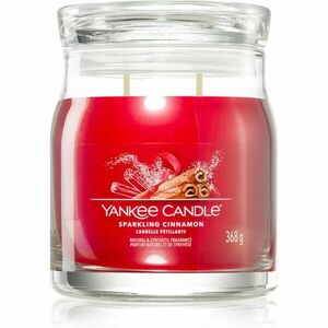Yankee Candle Sparkling Cinnamon vonná sviečka 368 g vyobraziť