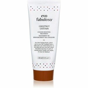 EVO Fabuloso Colour Boosting Treatment maska na vlasy pre zvýraznenie farby vlasov odtieň Chestnut 220 ml vyobraziť