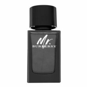 Burberry Mr. Burberry parfémovaná voda pre mužov 100 ml vyobraziť