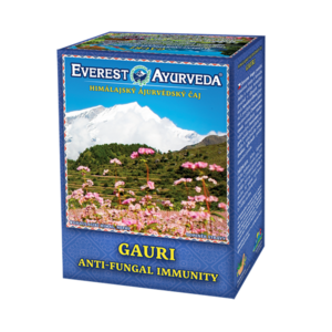 EVEREST AYURVEDA Gauri sypaný čaj 100 g vyobraziť