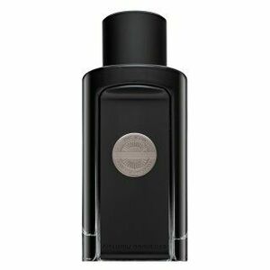 Antonio Banderas The Icon parfémovaná voda pre mužov 100 ml vyobraziť