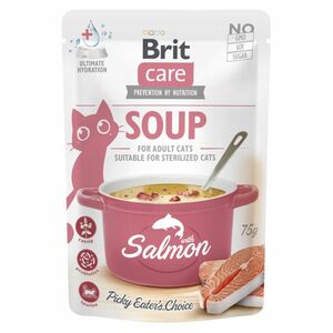 BRIT Care Cat Soup with Salmon vývar pre mačky 75 g vyobraziť