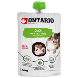 Ontario Pasta kačacie 90 g vyobraziť