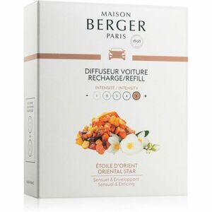 Maison Berger Paris Oriental Star vôňa do auta náhradná náplň 2 x 17 g vyobraziť
