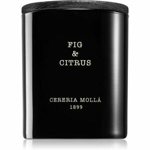 Cereria Mollá Boutique Fig & Citrus vonná sviečka 230 g vyobraziť