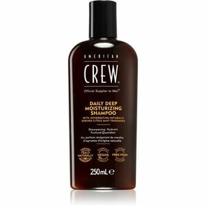 American Crew Deep Moisturizing Shampoo hydratačný šampón pre mužov 250 ml vyobraziť