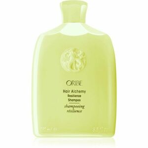 Oribe Hair Alchemy Resilience Shampoo posilňujúci šampón pre krehké vlasy 250 ml vyobraziť