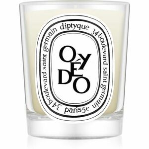 Diptyque Oyedo vonná sviečka 190 g vyobraziť