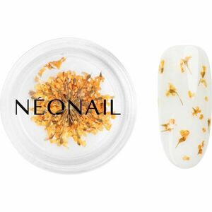 NEONAIL Dried Flowers sušený kvet na nechty odtieň Orange 1 ks vyobraziť