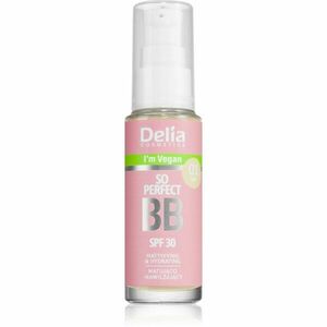 Delia Cosmetics BB So Perfect zmatňujúci BB krém s hydratačným účinkom odtieň 01 Light 30 ml vyobraziť