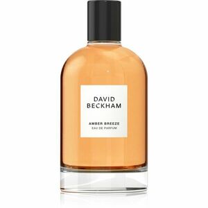 David Beckham Amber Breeze parfumovaná voda pre mužov 100 ml vyobraziť