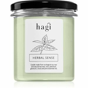 Hagi Herbal Sense vonná sviečka 230 g vyobraziť